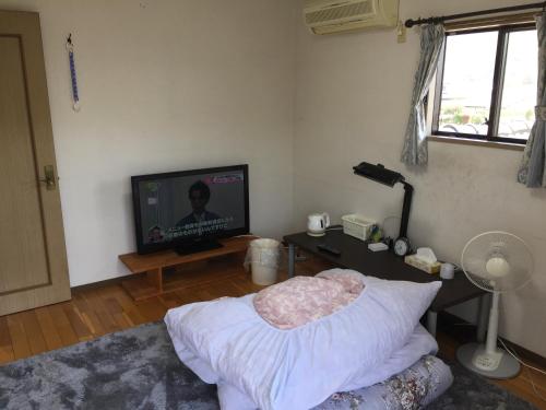 a living room with a bed and a television at Guesthouse Suisennosato in Konan