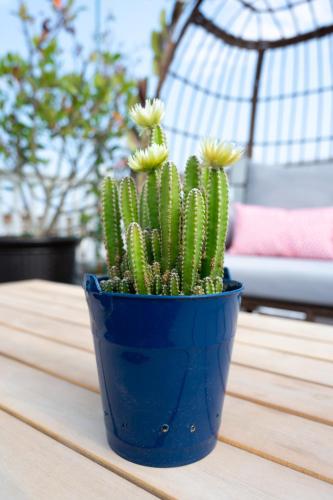 a cactus in a blue pot on a table at Luxury Federal Hill Home with Rooftop & 4 Parking Spots in Baltimore