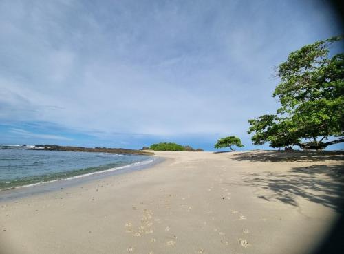 a sandy beach with trees and the ocean at casa de playa Paraíso terrenal in San Juanillo