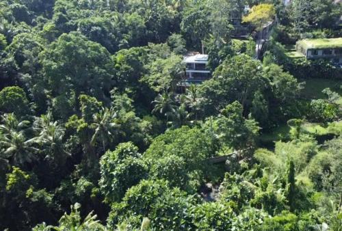 Billede fra billedgalleriet på Villa Maxwell i Munggu