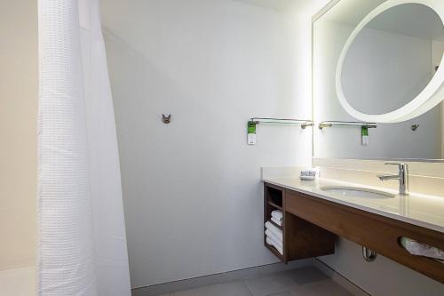 a bathroom with a sink and a mirror at SpringHill Suites Tampa North/Tampa Palms in Tampa