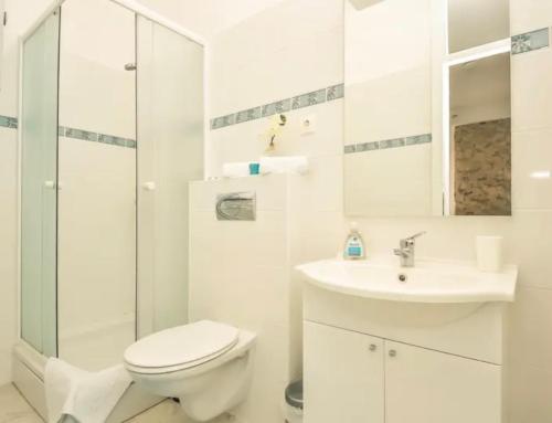 a white bathroom with a toilet and a sink at DreamWorksApartments in Karlobag