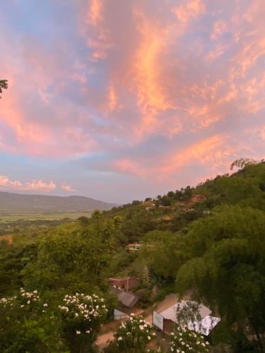 Příroda nedaleko kempu