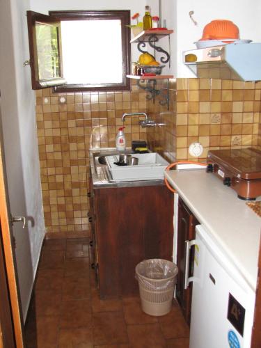 a small kitchen with a sink and a window at MARIA Studios & Apartments in Agios Ioannis Pelio