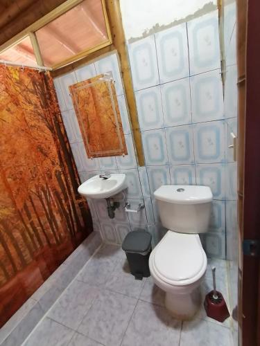 La petite salle de bains est pourvue de toilettes et d'un lavabo. dans l'établissement Casa el edén, à Choachí