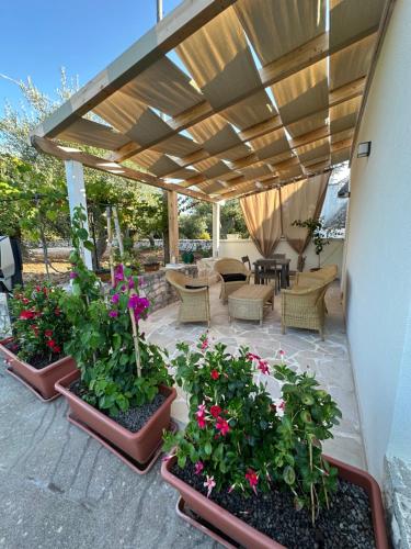 a patio with severalotted plants and a pergola at Trullo Gnoffa in La Correggia