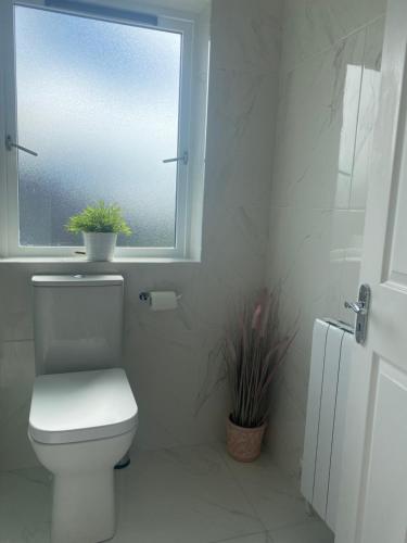 a white bathroom with a toilet and a window at Cosy home in Dungarvan