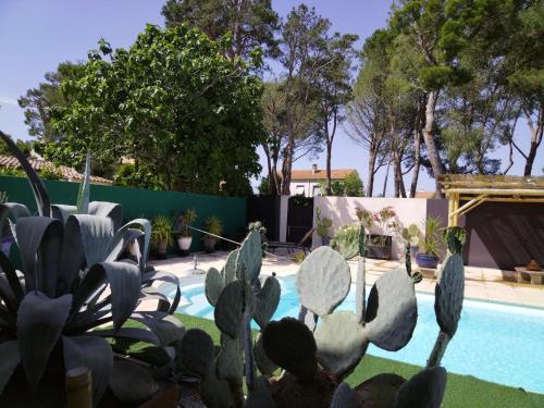 - un groupe de cactus en face d'une piscine dans l'établissement Majopau, à Boujan-sur-Libron