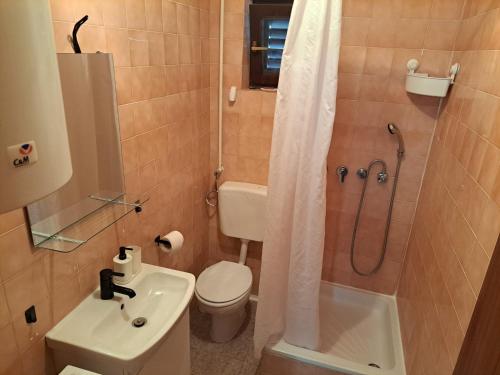 普利莫頓的住宿－Room Vesna，带淋浴、卫生间和盥洗盆的浴室