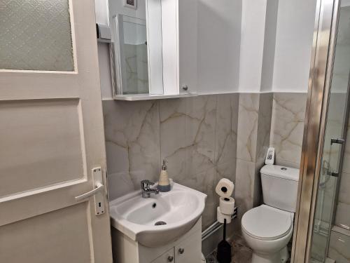 a bathroom with a sink and a toilet at Black Eagle Central - Unirii Square, 2 bedroom, free parking in Oradea