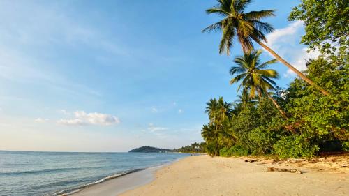 Landskap semula jadi dekat dengan vila ini
