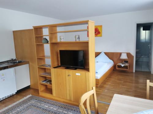 a living room with a tv in a wooden book shelf at Gästehaus Schönwälder in Beuron