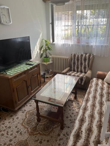 salon z telewizorem i stolikiem kawowym w obiekcie Apartman Jamal w Sarajewie