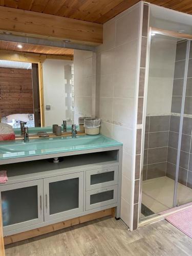 une salle de bain avec un lavabo et un miroir dans l'établissement Maison a Seez 170m2, à Séez