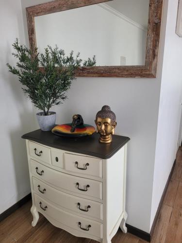a dresser with a skull on top of it at Departamento amoblado in Talca