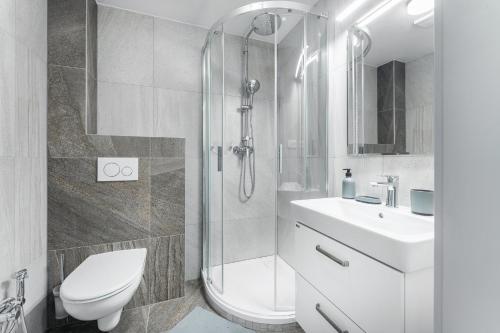 a bathroom with a shower and a toilet and a sink at Apartmán v Poděbradech in Poděbrady