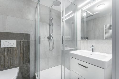 a bathroom with a shower and a sink and a toilet at Apartmán v Poděbradech in Poděbrady