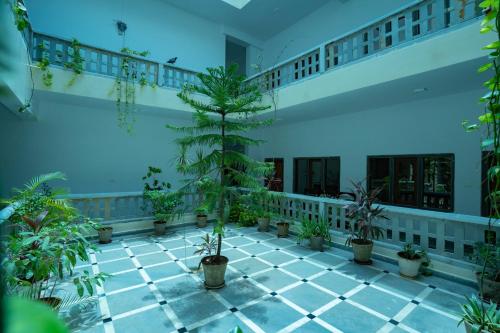 Fotografie z fotogalerie ubytování Tripli Hotels Shiv Villas v destinaci Udajpur