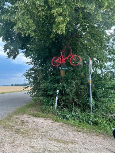 a red bike is in a tree on the side of a road at Upmaļi in Tērvete
