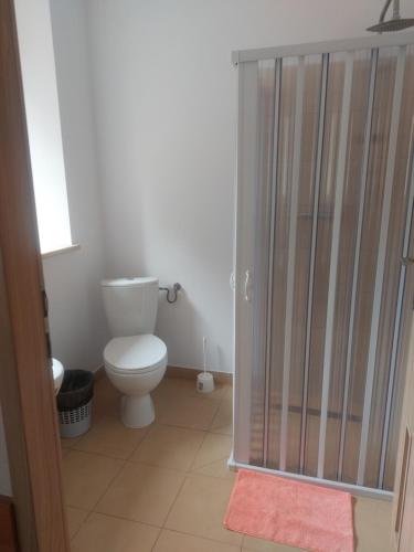 a bathroom with a toilet and a glass shower stall at Noclegi Ali in Wałbrzych