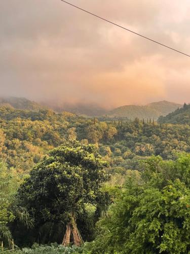 Gambar di galeri bagi Ikia Village di Kyprianádes