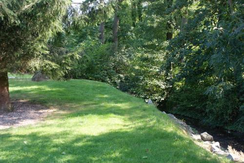 a lush green yard with trees and grass at Romantic Wooden Lodge,Sauna,Schwimmteich,alleinstehend,absolut ruhig in Hessisch Oldendorf