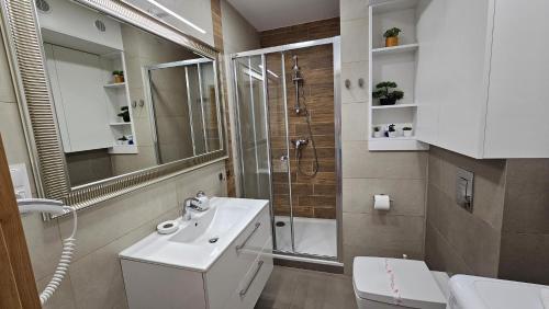 Koupelna v ubytování Apartament z pięknym widokiem na góry