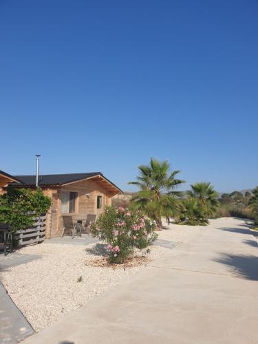 ein Haus mit Palmen und Bürgersteig in der Unterkunft Casa de la Vida Liebetruth B in Aspe