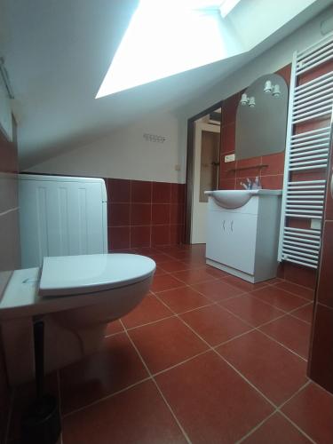 a bathroom with a toilet and a sink at Haškovna - tradice zájezdního hostince u Prachovských skal in Ohaveč