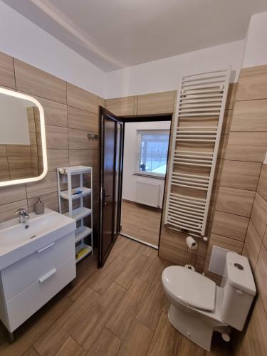 a bathroom with a toilet and a sink and a mirror at Casa Lia Voroneț in Voroneţ