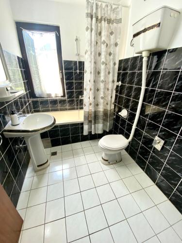 a bathroom with a toilet and a sink at Apartman Akvamarin in Vrnjci
