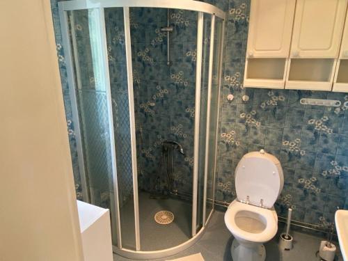 a bathroom with a shower and a toilet in it at Hällestrand Semester villa in Strömstad