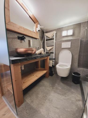 a bathroom with a sink and a toilet at Adler Hotel-Pension in Fulpmes