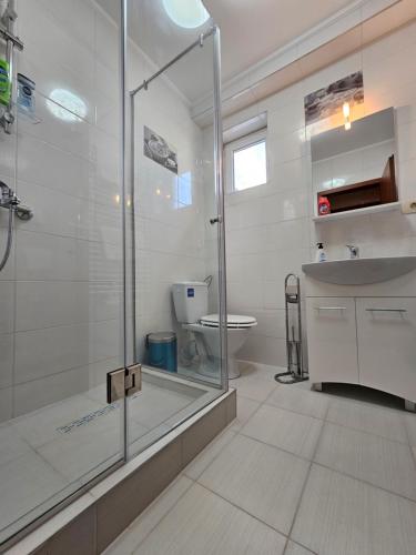 a bathroom with a shower and a sink and a toilet at Dinasty Hotel 