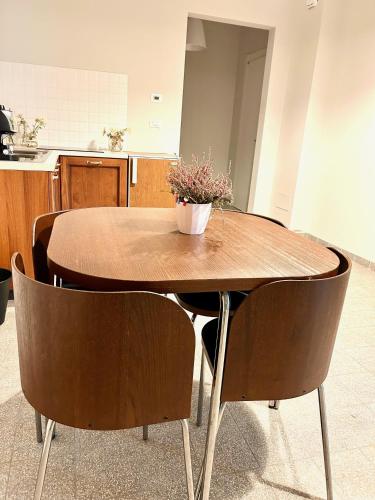 a wooden table with a potted plant on top of it at Azienda Agricola Sebastiani in Cittaducale