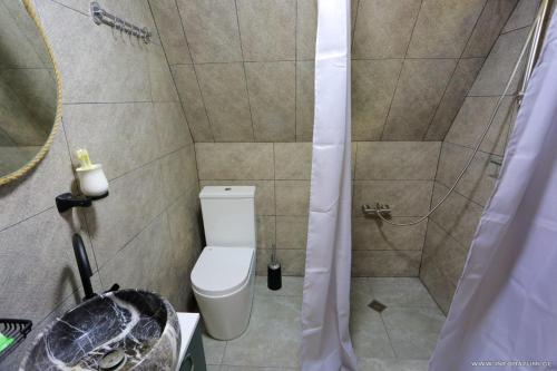 y baño pequeño con aseo y ducha. en Discover Gulebi, en K'eda