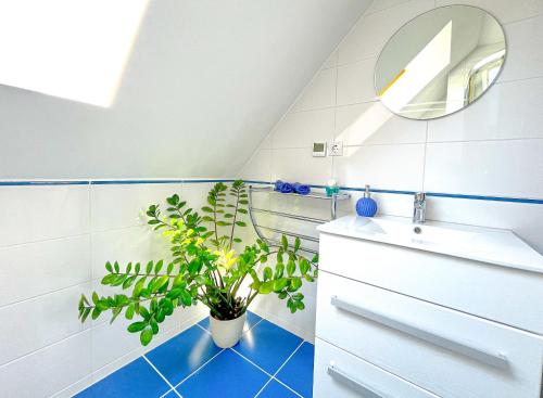 een badkamer met een witte wastafel en een potplant bij Kékszalag Vendégház in Tihany