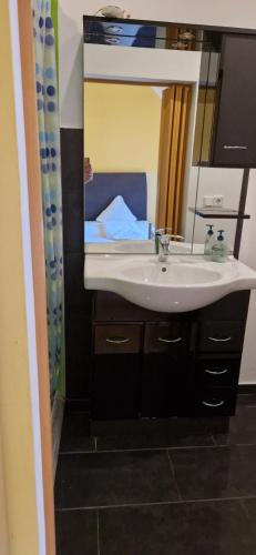 ein Bad mit einem Waschbecken und einem Spiegel in der Unterkunft Zimmer mit eigenem Bad in Kaiserslautern