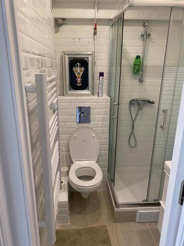 une petite salle de bain avec toilettes et douche dans l'établissement beau studio au bord de la mer, à Blonville-sur-Mer