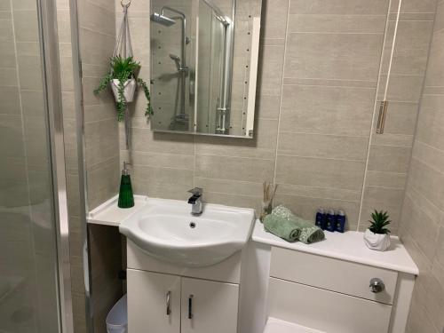Richard III Luxury apartment في ليستر: حمام مع حوض ومرآة وحوض استحمام