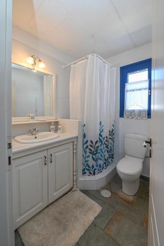 a bathroom with a sink and a toilet and a mirror at Tzados Sunny Villa in Kariá