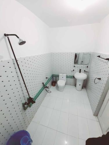 a bathroom with a toilet and a sink at Ibex lodge Skardu in Skardu
