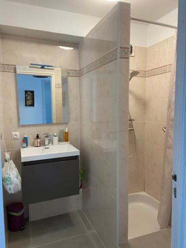 La salle de bains est pourvue d'un lavabo et d'une douche. dans l'établissement Le Poseidon, à Saint-Raphaël