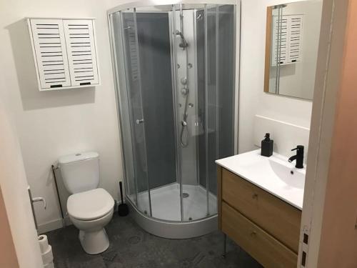 a bathroom with a shower and a toilet and a sink at *Le Yellow -Appartement T2, hypercentre* in Limoges