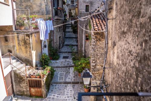 Il Vicoletto – Photos 2