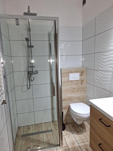uma casa de banho com um chuveiro e um WC. em Omega Jantar em Jantar