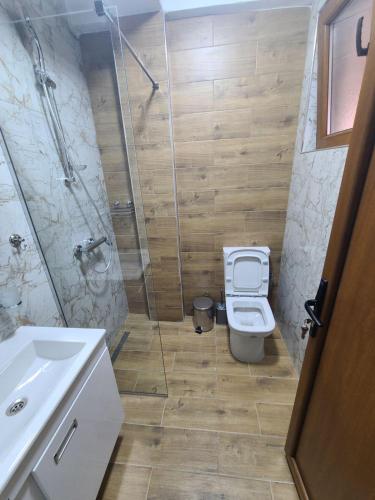 a bathroom with a shower and a toilet and a sink at Villa Kristina - Apartment no.2 in Vrben