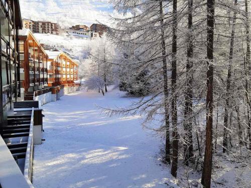Studio calme aux Deux Alpes, accès pistes, animaux admis