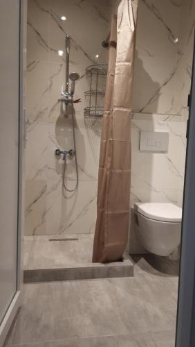 a bathroom with a shower and a toilet in it at Holiday apartment Kobuleti in K'obulet'i