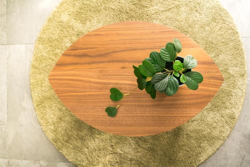 a wooden cutting board with a plant on it at Lily Studio Apart *Top location* in Jerusalem